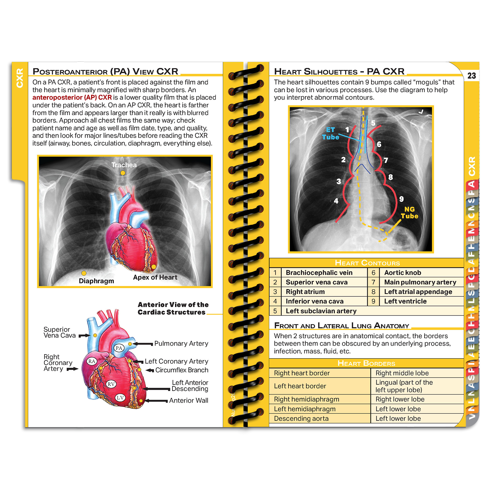 NPpocket Nursing Edition - 2024 Edition