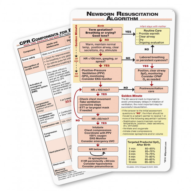 Newborn Resuscitation Algorithm Card - 2018