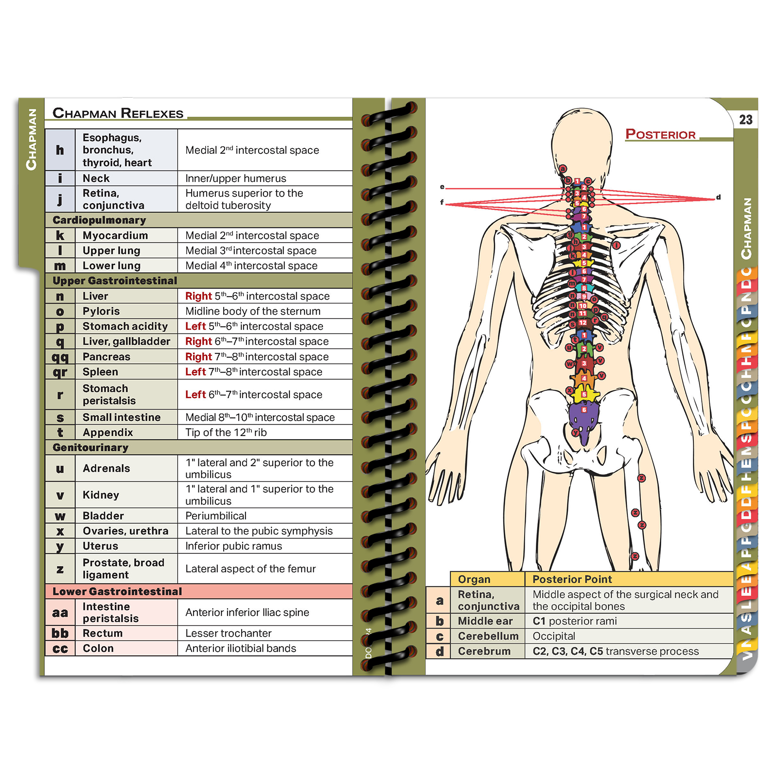 DOpocket Osteopathic Edition