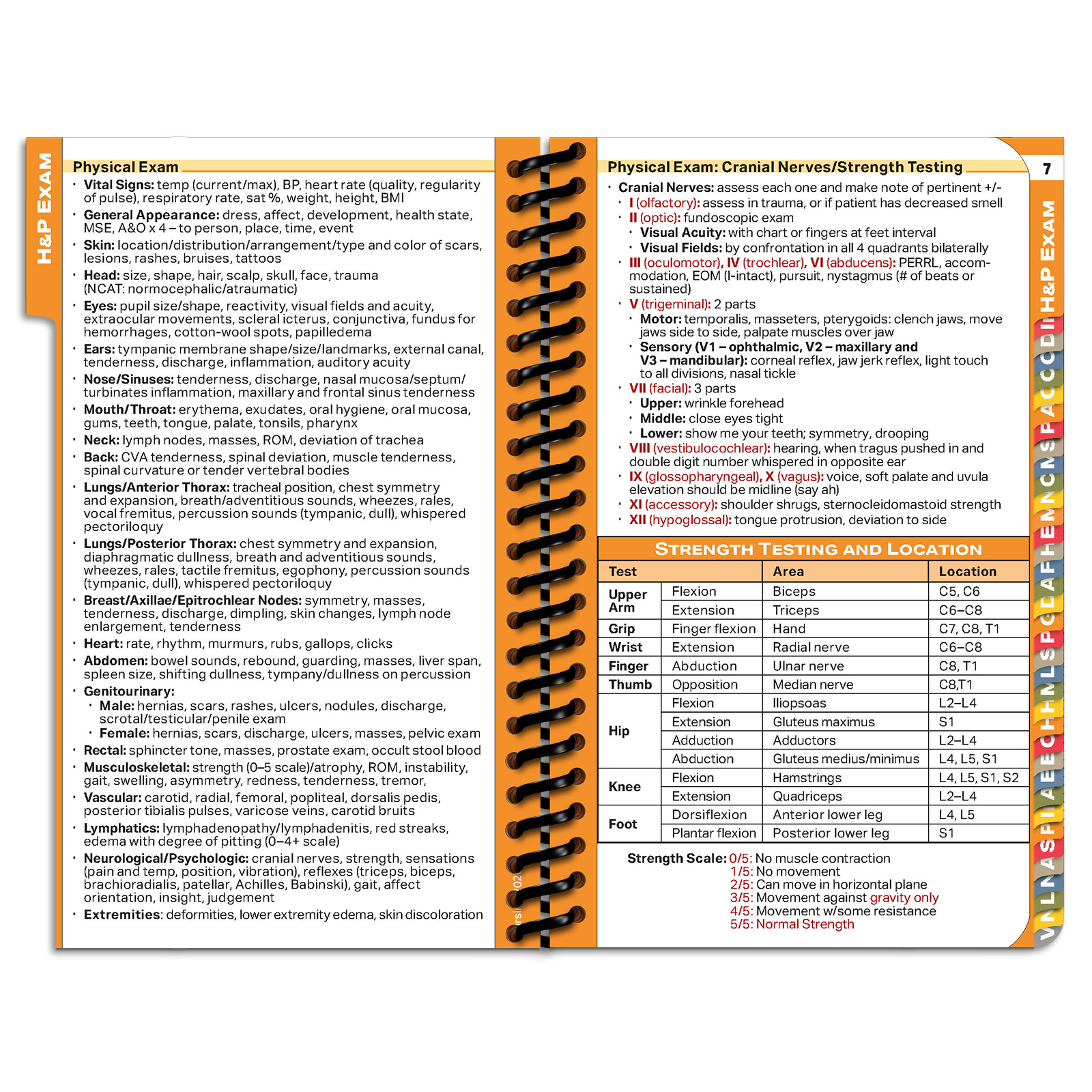 NPpocket Nursing Edition