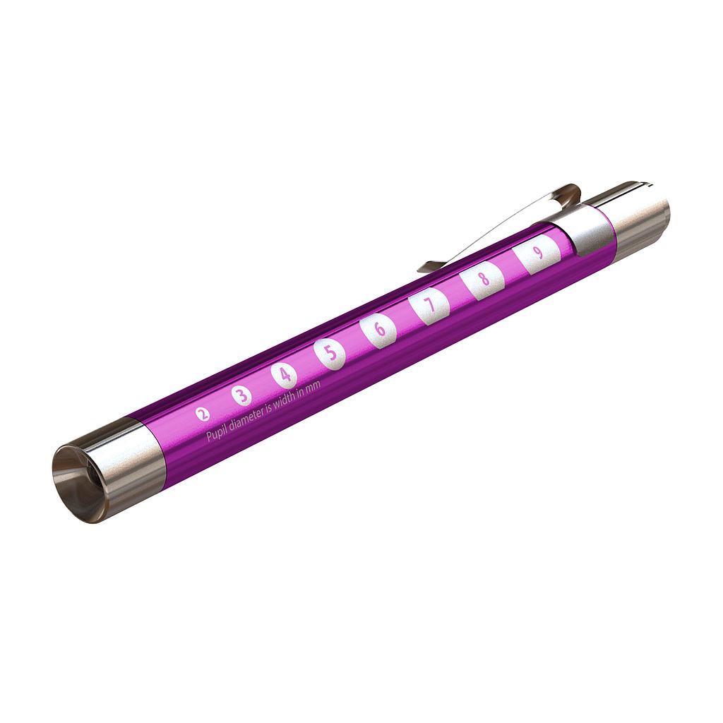 Metallic Penlight with Pupil Gauge