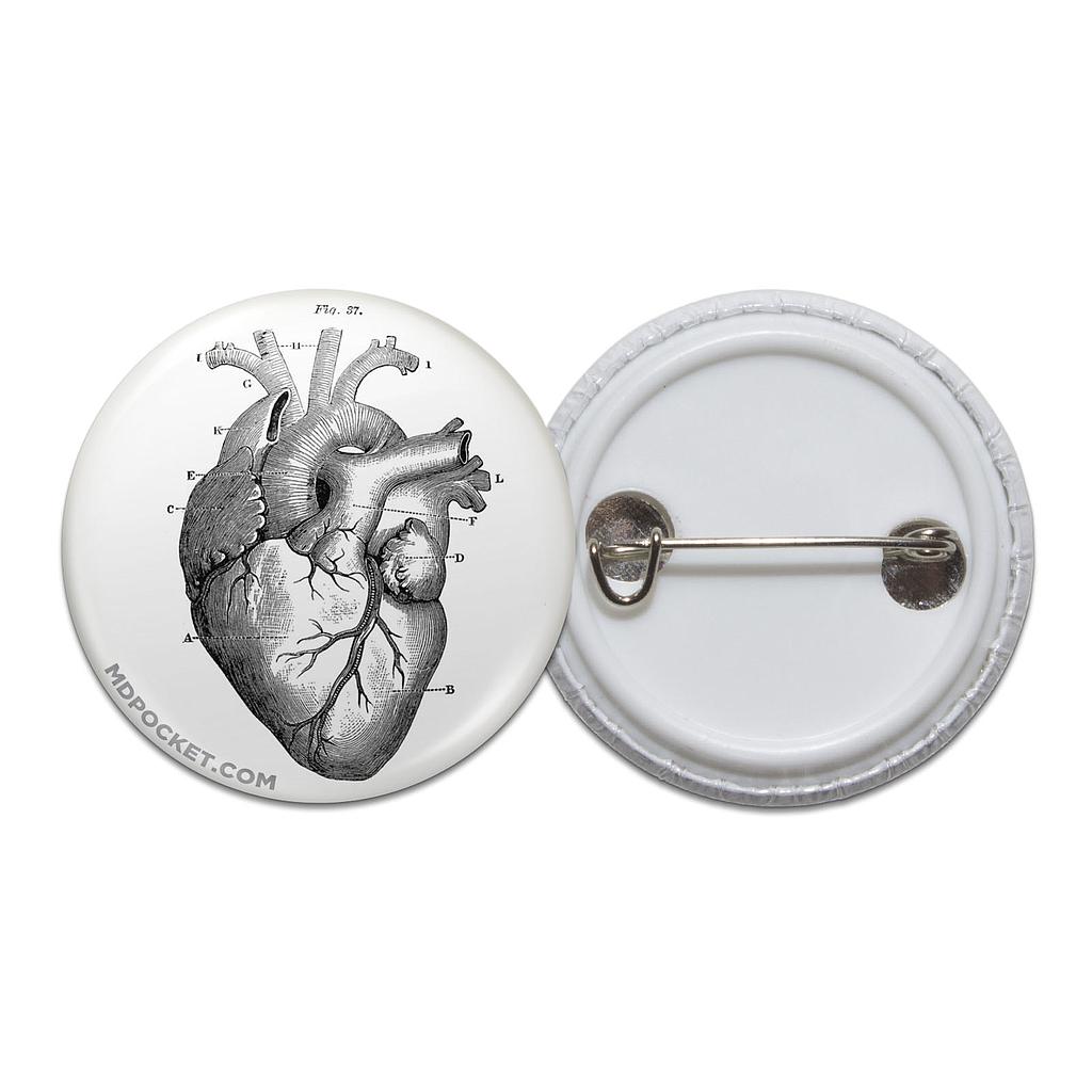 Vintage Heart Diagram Button