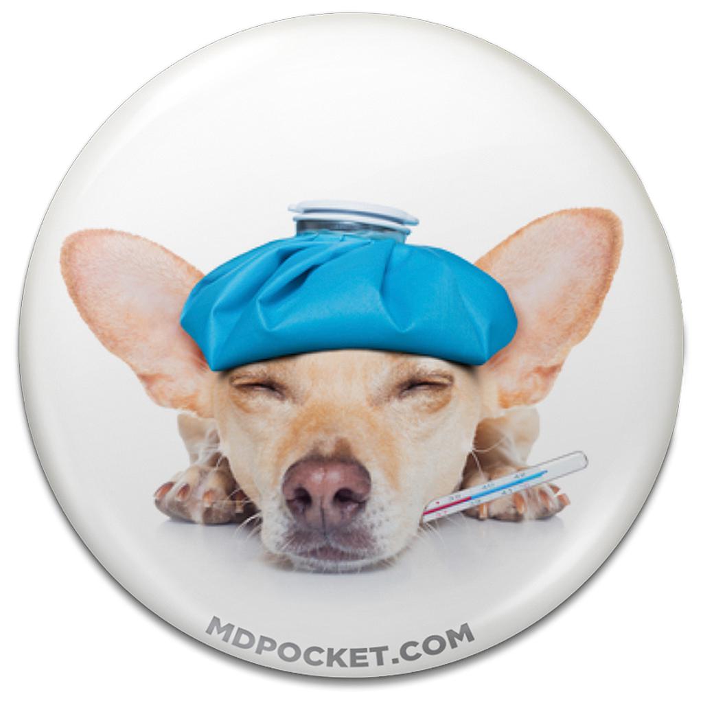 Sick Chihuahua Button