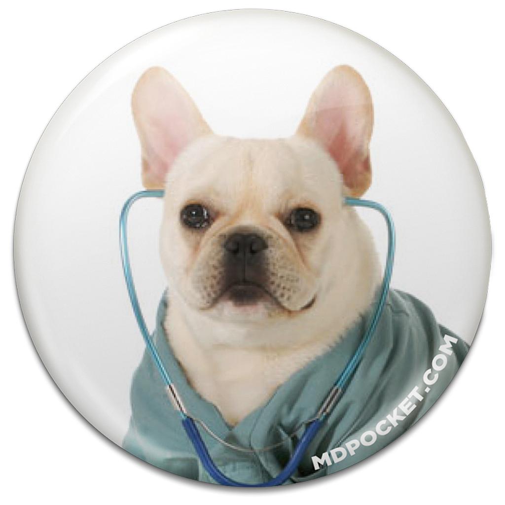 French Bulldog Button