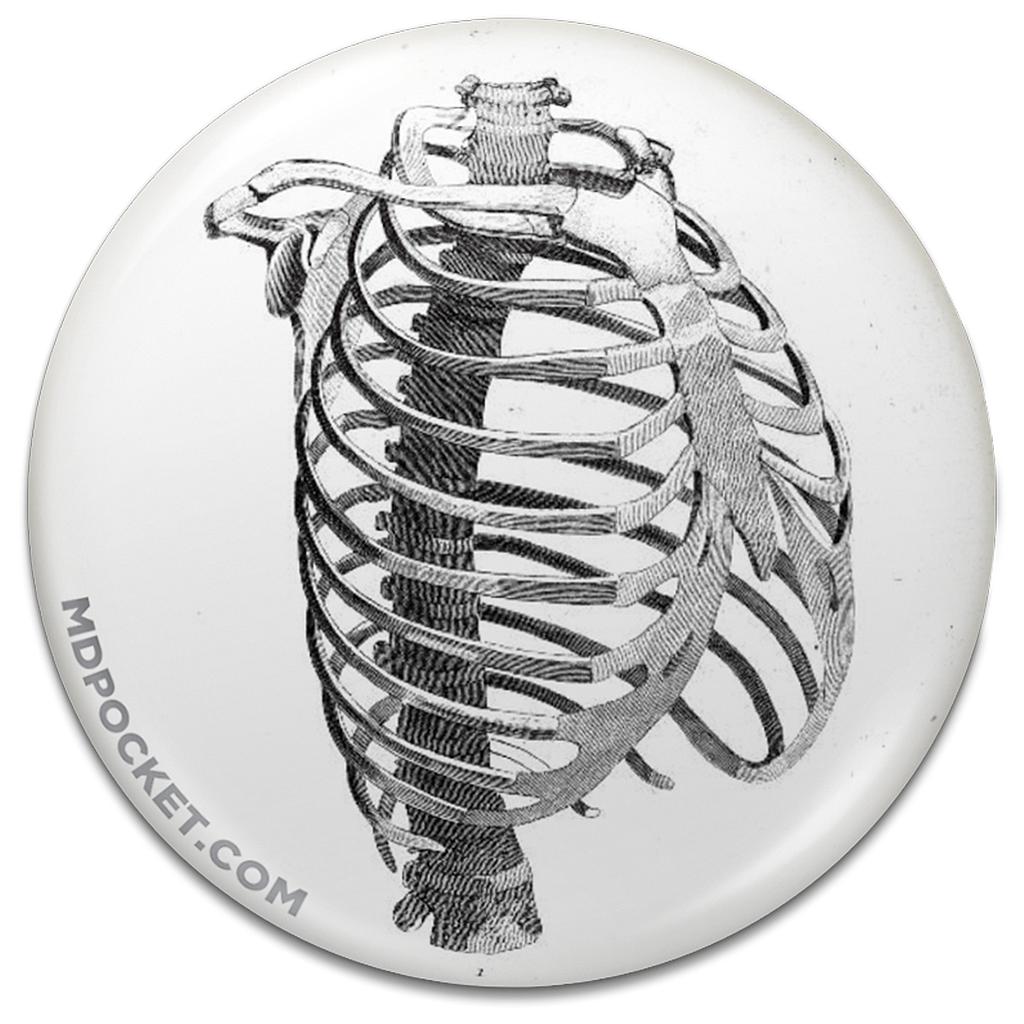 Vintage Ribcage Diagram Button