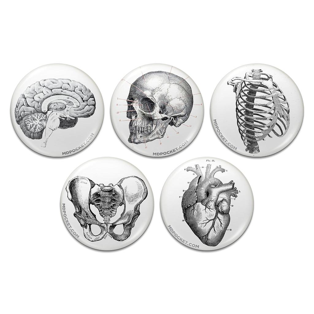 Vintage Anatomy Button Pack