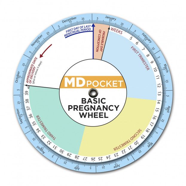 Basic Pregnancy Wheel MedInfo