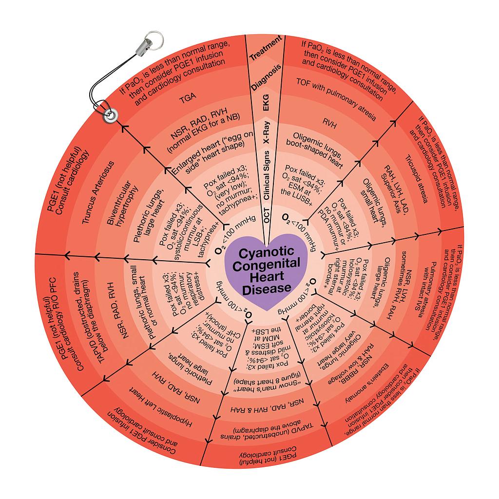 Cyanotic Congenital Heart Disease Wheel