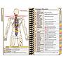 University of the Incarnate Word School of Osteopathic Medicine DOpocket