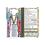 MDpocket Medical Student Mini Edition