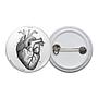 Vintage Heart Diagram Button